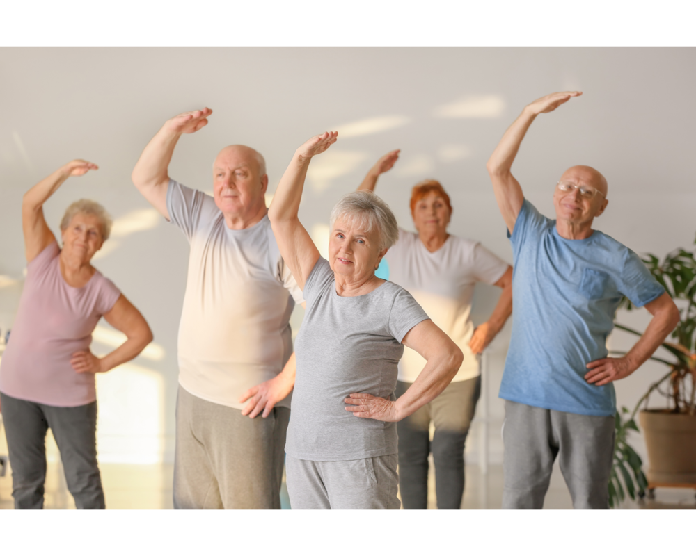 28_EverFit 2.png